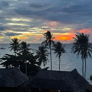 Blue Chitta Yoga & Freediving , Ko Tao Thailand